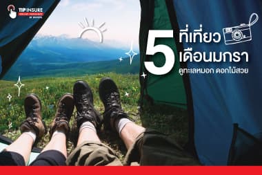 5 ที่เที่ยวเดือนมกรา ดูทะเลหมอก ดอกไม้สวย