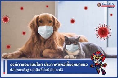 คนรักหมาแมวโล่งอก! องค์การอนามัยโลก ประกาศยังไม่พบหลักฐานการแพร่เชื้อไวรัสโคโรนาจากสัตว์เลี้ยงสู่คน