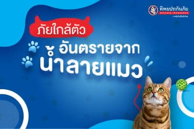 ภัยใกล้ตัว ... อันตรายจากน้ำลายแมว