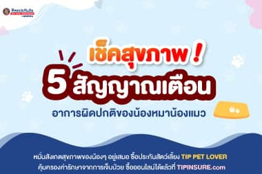 เช็คสุขภาพ! 5 สัญญาณเตือนอาการผิดปกติของน้องหมาน้องแมว
