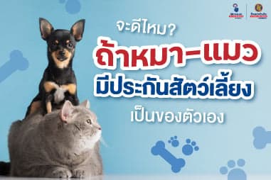 จะดีไหม? ถ้าหมา-แมวมีประกันสัตว์เลี้ยงเป็นของตัวเอง