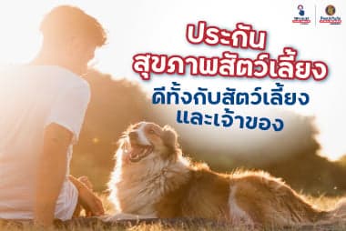 “ประกันสุขภาพสัตว์เลี้ยง” ดีทั้งกับหมาและเจ้าของจริงเหรอ?
