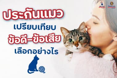 ประกันแมว เปรียบเทียบข้อดี-ข้อเสีย เลือกอย่างไร