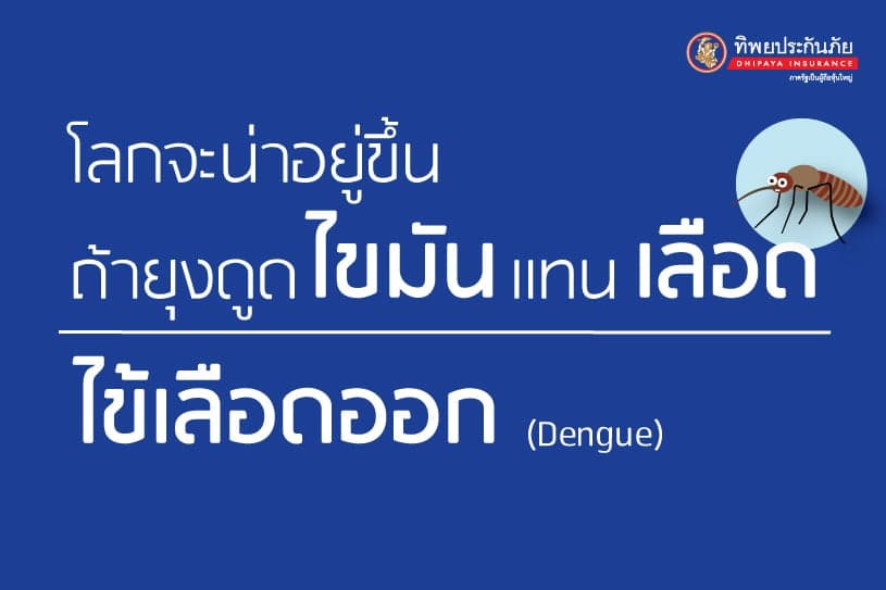 ไข้เลือดออก : โลกจะน่าอยู่ขึ้น ถ้ายุงดูดไขมันแทนเลือด!