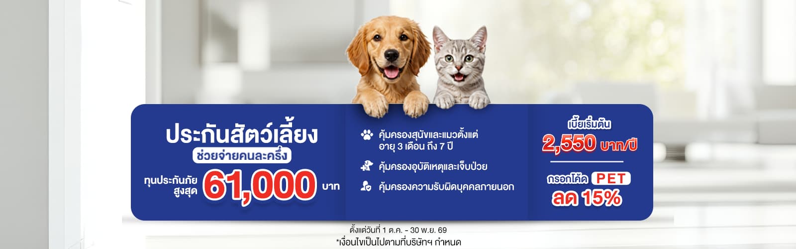 Promotion image