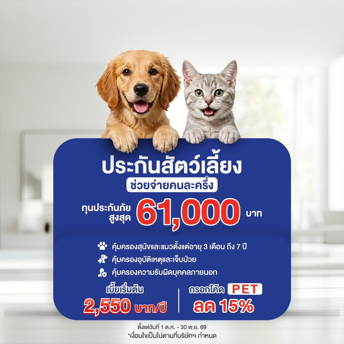 Promotion image
