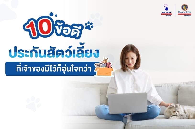 10 ข้อดีประกันสัตว์เลี้ยง ที่เจ้าของมีไว้ก็อุ่นใจกว่า