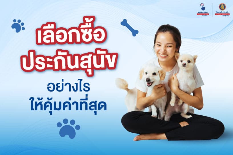 เลือกซื้อ ประกัน สุนัข 2565 อย่างไรให้คุ้มค่าที่สุด