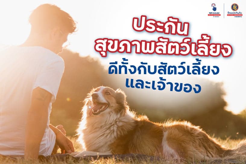 “ประกันสุขภาพสัตว์เลี้ยง” ดีทั้งกับหมาและเจ้าของจริงเหรอ?