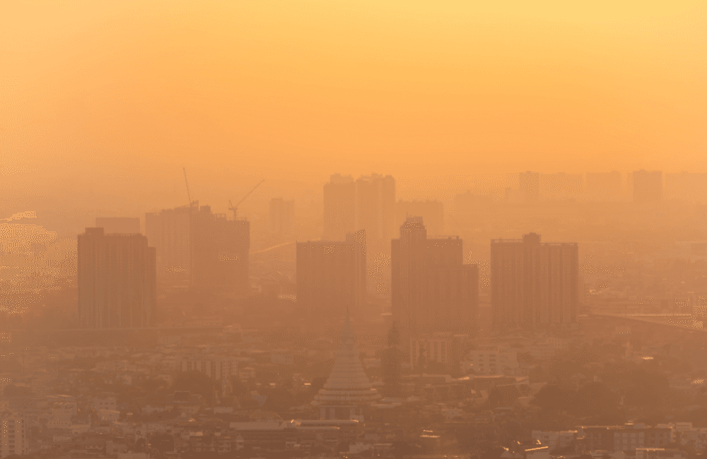 อันตรายจากฝุ่น PM2.5